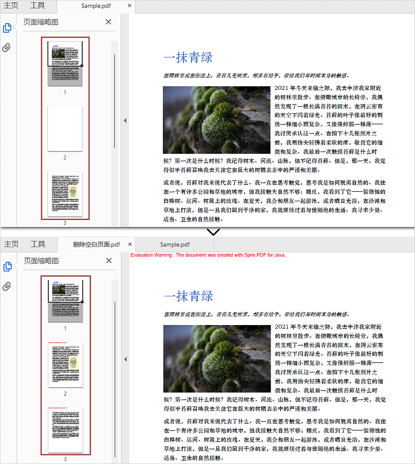 java 查找并删除 pdf 中的空白页面